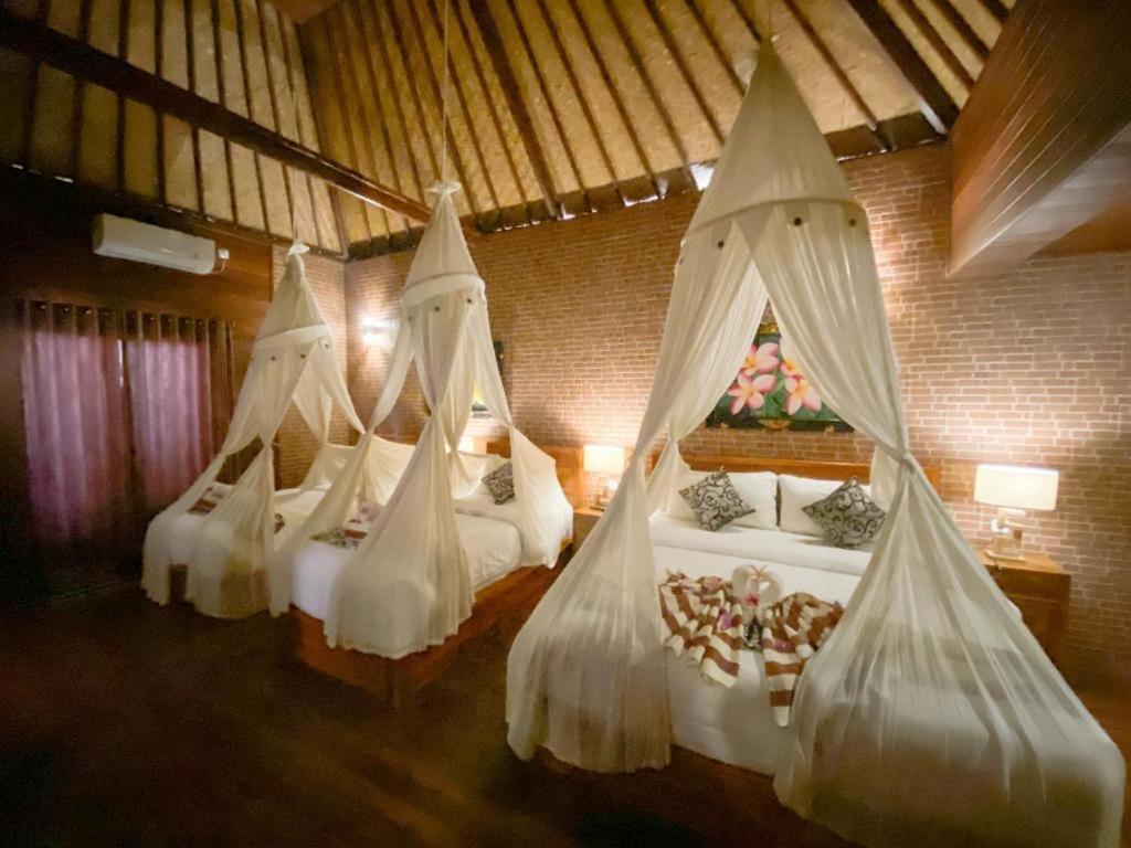 Pattri Dihati Lembongan Room photo